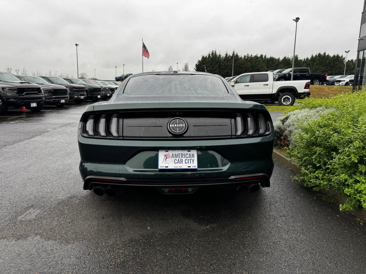 FORD MUSTANG Fastback 5.0 V8 - BULLITT - MAGNERIDE