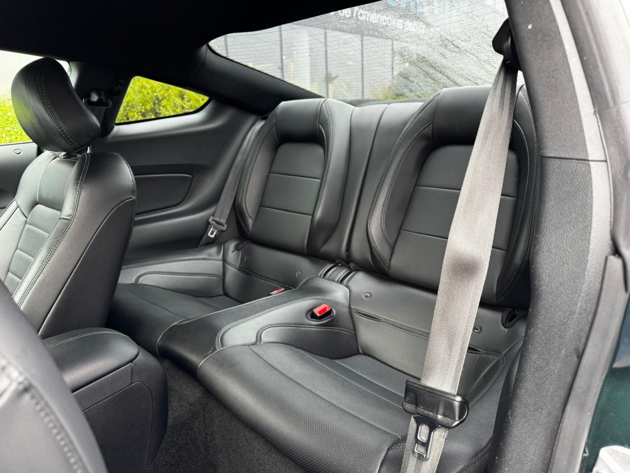 FORD MUSTANG Fastback 5.0 V8 - BULLITT - MAGNERIDE