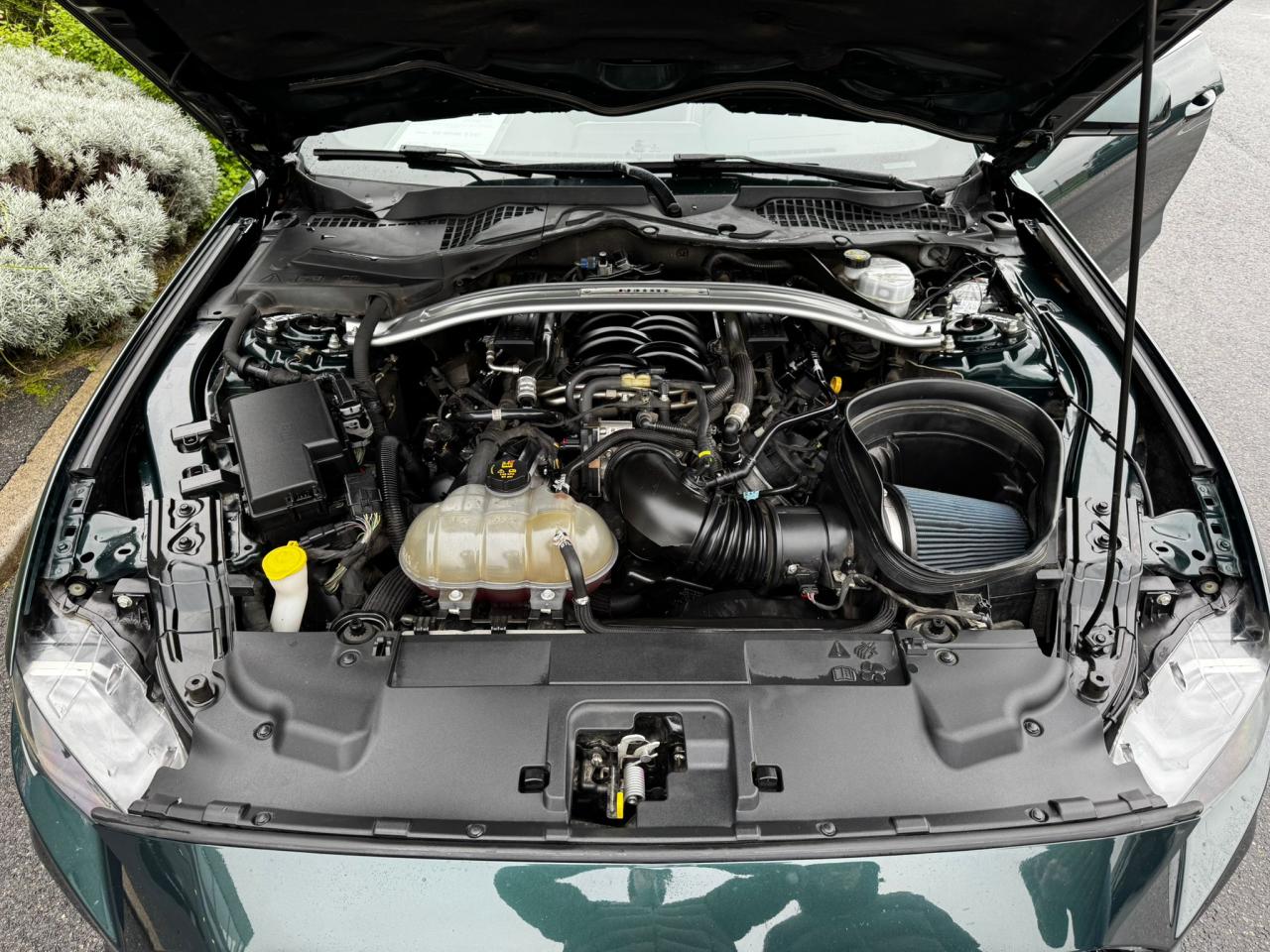 FORD MUSTANG Fastback 5.0 V8 - BULLITT - MAGNERIDE