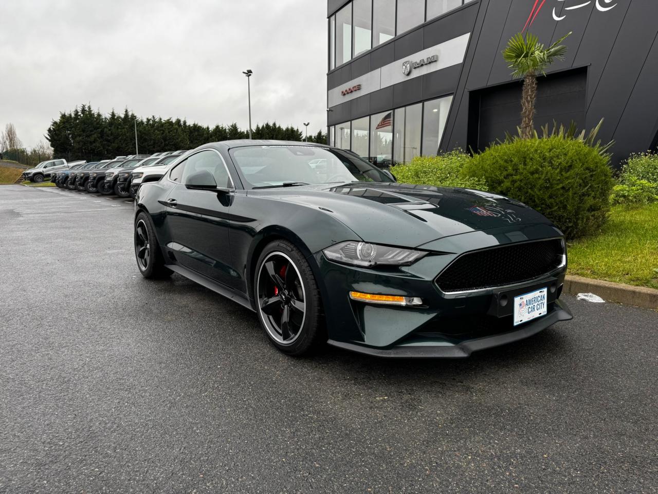 FORD MUSTANG Fastback 5.0 V8 - BULLITT - MAGNERIDE