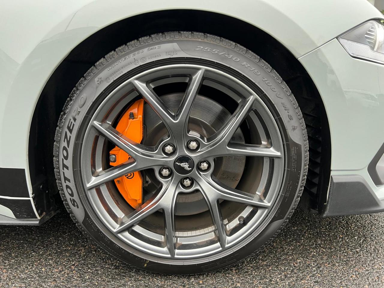 FORD MUSTANG Mach 1 - MACH ONE - BVA - Pas de Malus