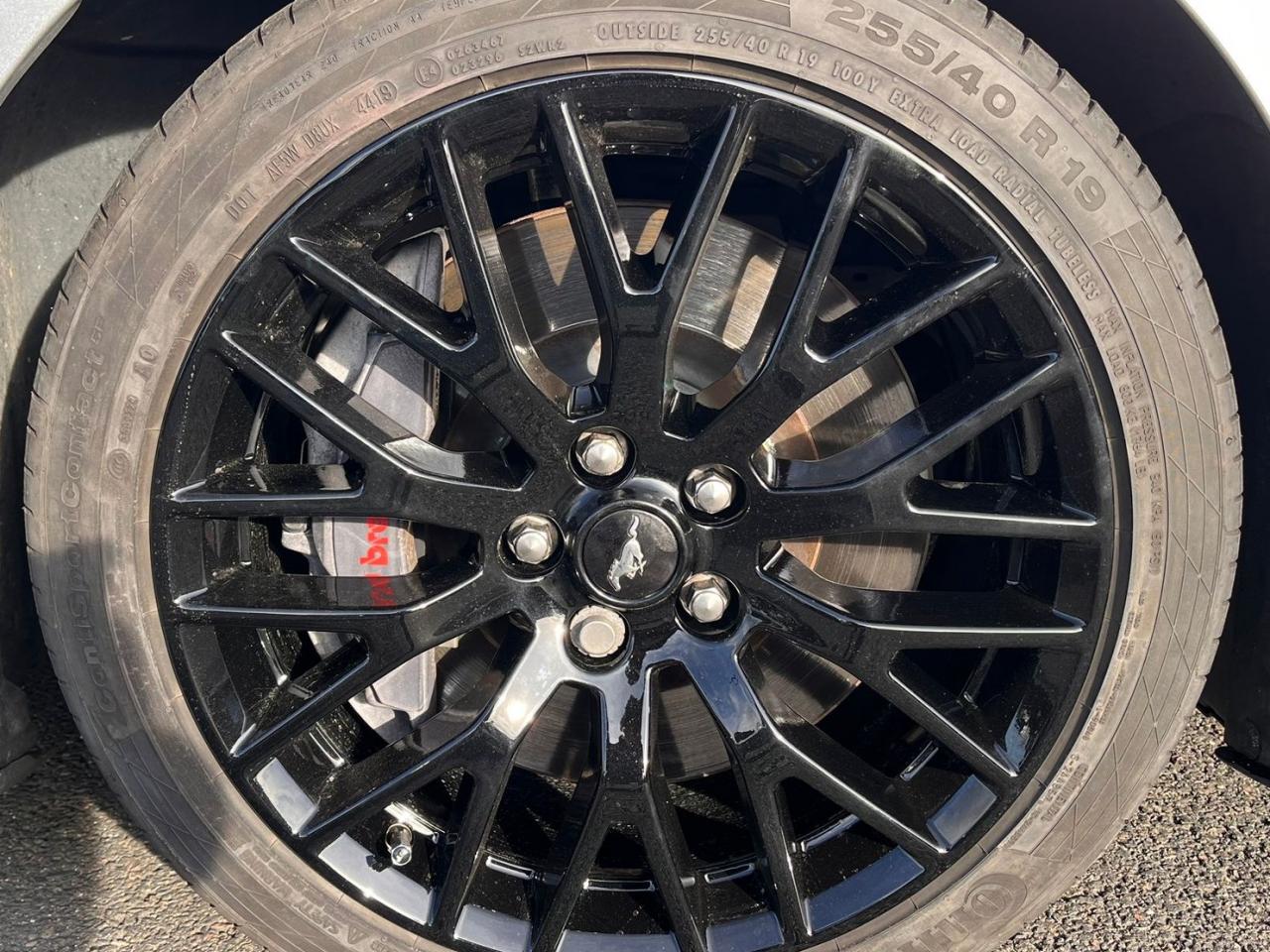 FORD MUSTANG GT Fastback V8 5.0L - PAS DE MALUS