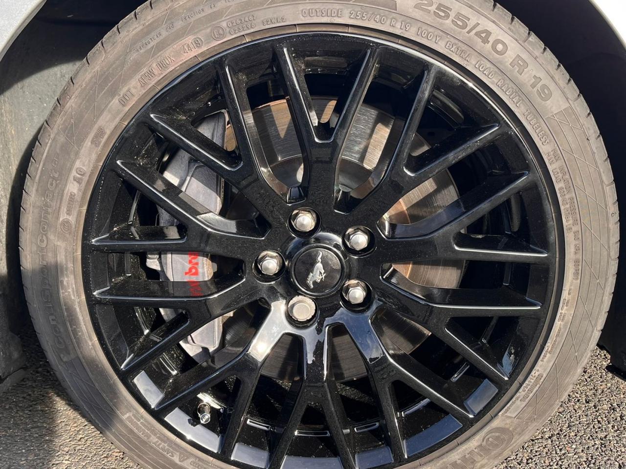 FORD MUSTANG GT Fastback V8 5.0L - PAS DE MALUS