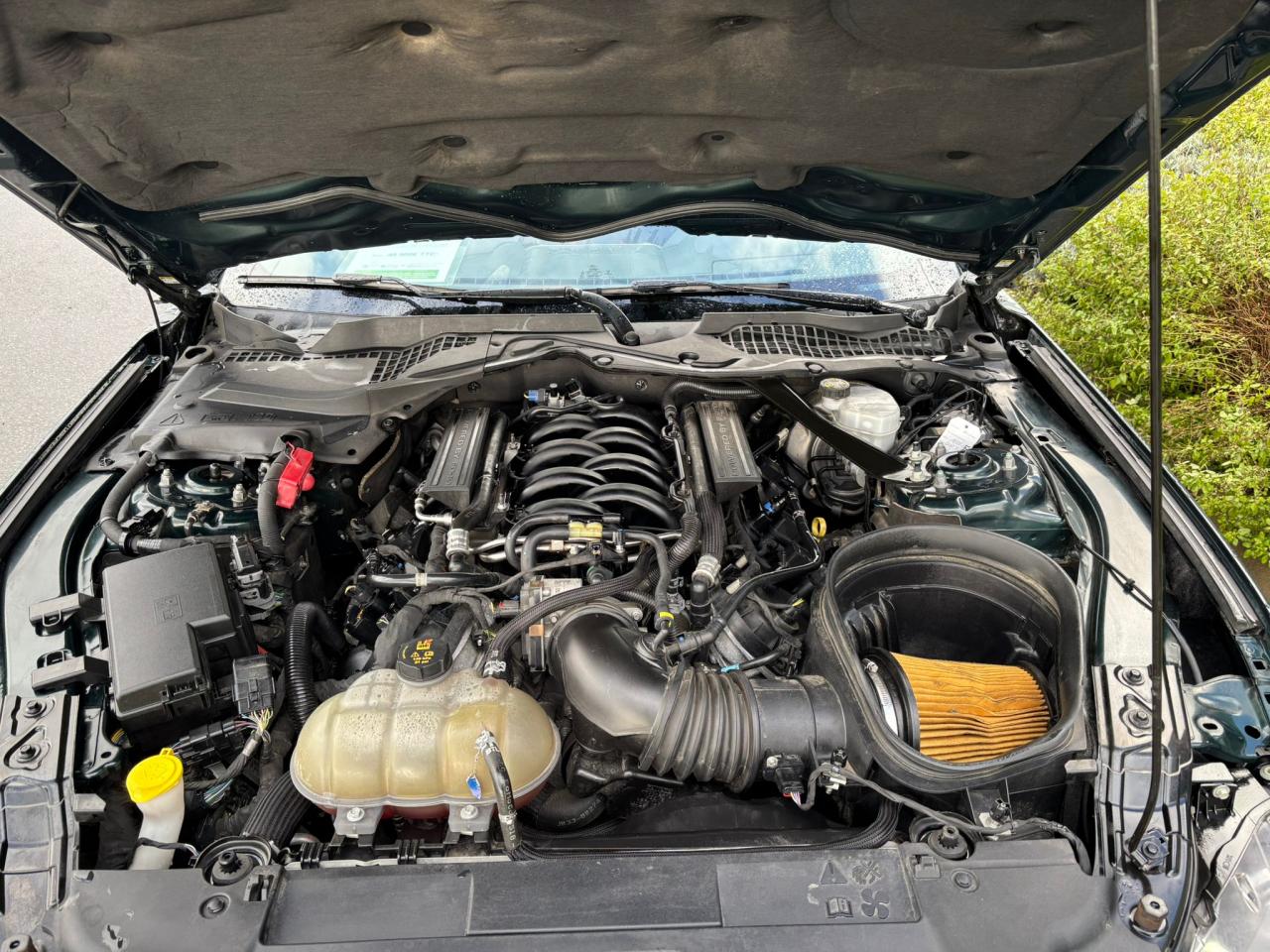 FORD MUSTANG Fastback 5.0 V8 - BULLITT - MAGNERIDE