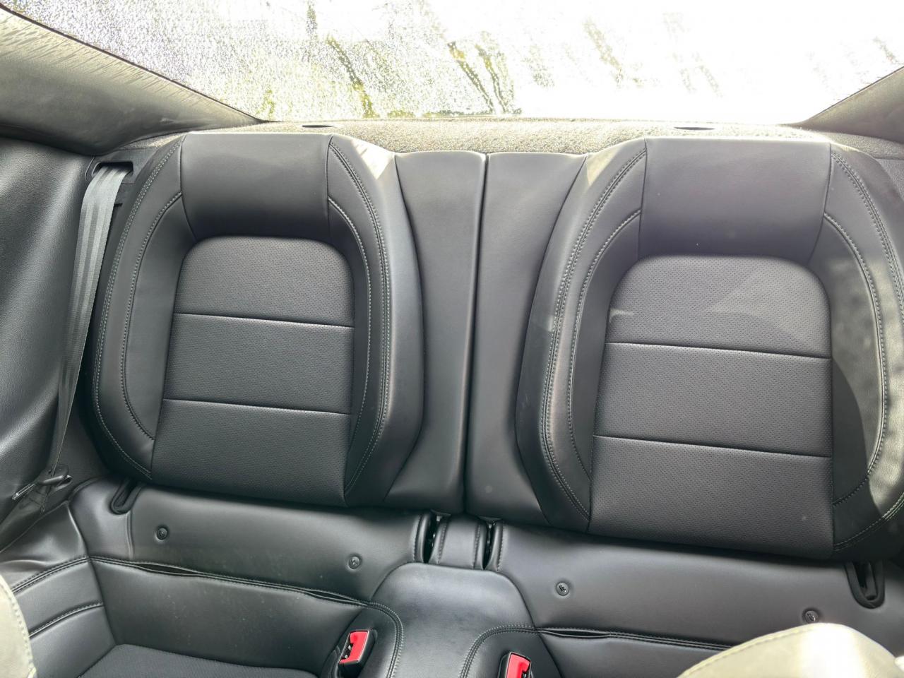 FORD MUSTANG Fastback 5.0 V8 - BULLITT - MAGNERIDE