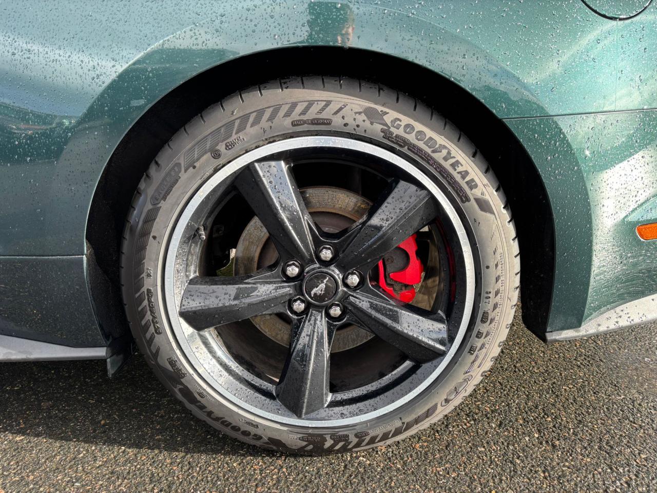 FORD MUSTANG Fastback 5.0 V8 - BULLITT - MAGNERIDE