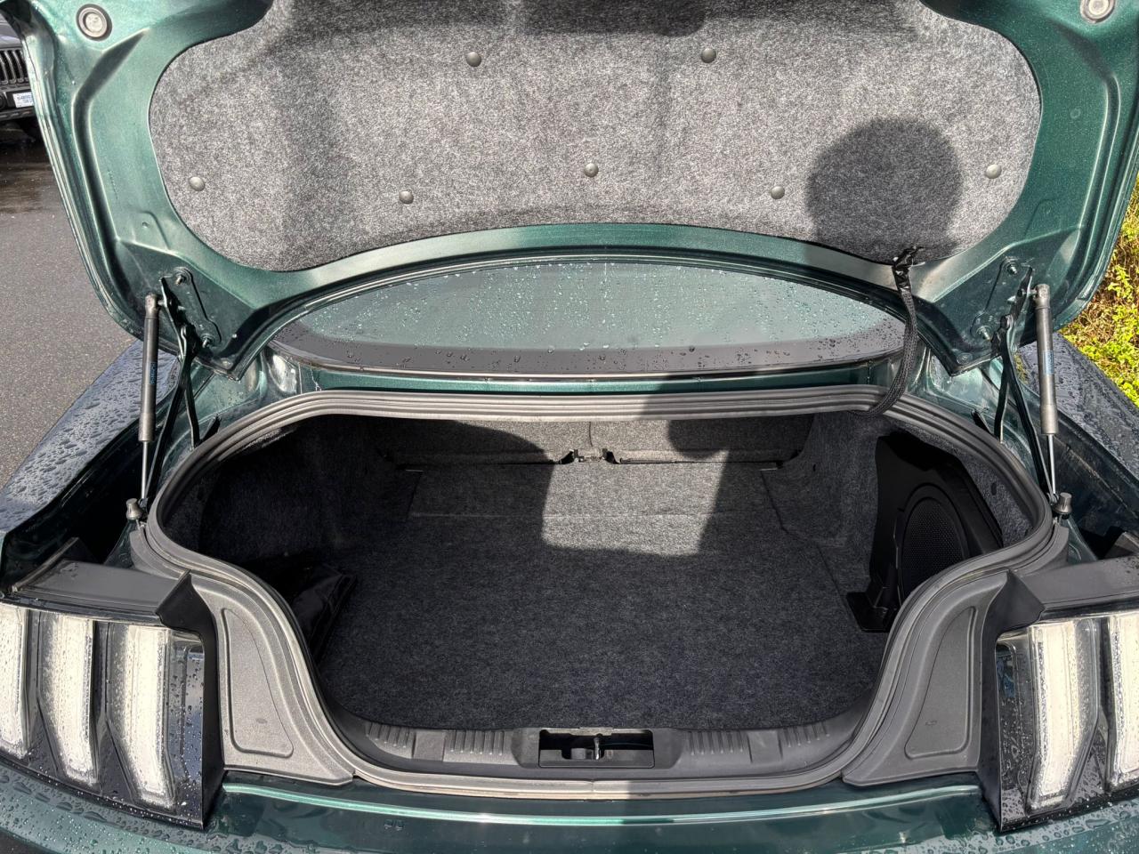 FORD MUSTANG Fastback 5.0 V8 - BULLITT - MAGNERIDE