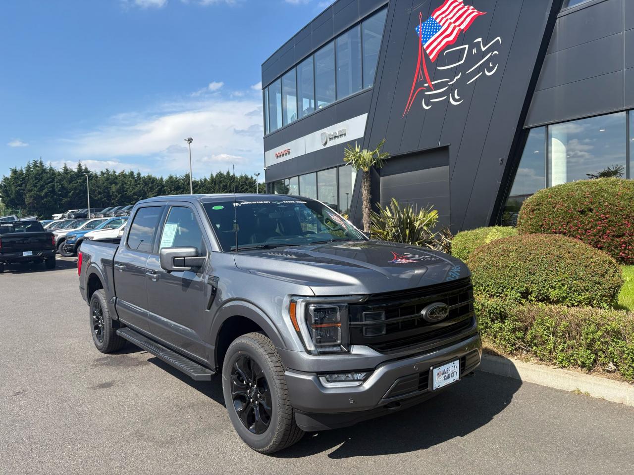 FORD F150 Supercrew LARIAT Black Package V8 5.0L FLEXFUEL