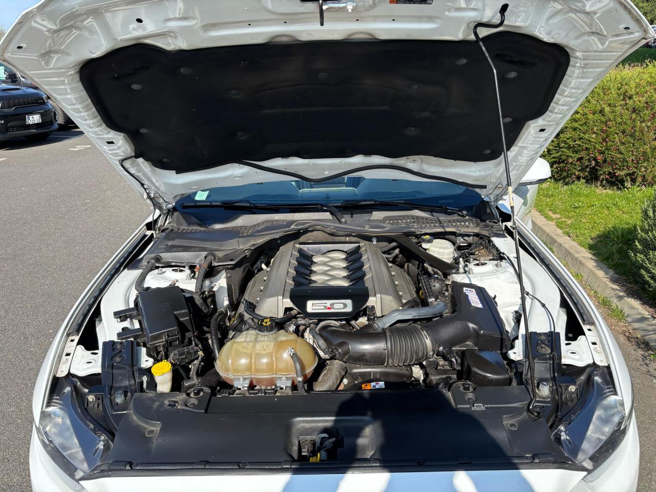 FORD MUSTANG GT CABRIOLET V8 5.0L BVA