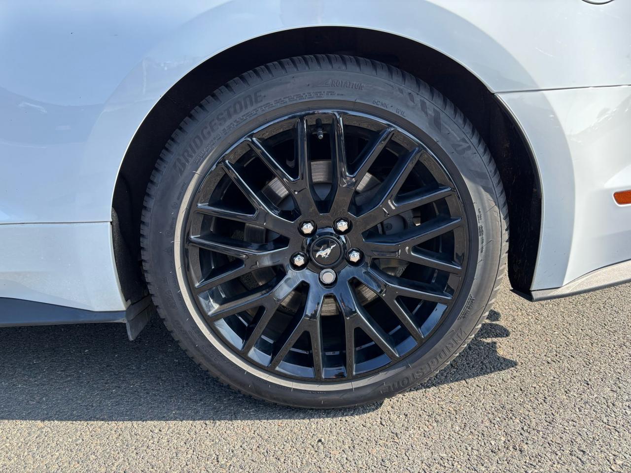 FORD MUSTANG GT CABRIOLET V8 5.0L BVA