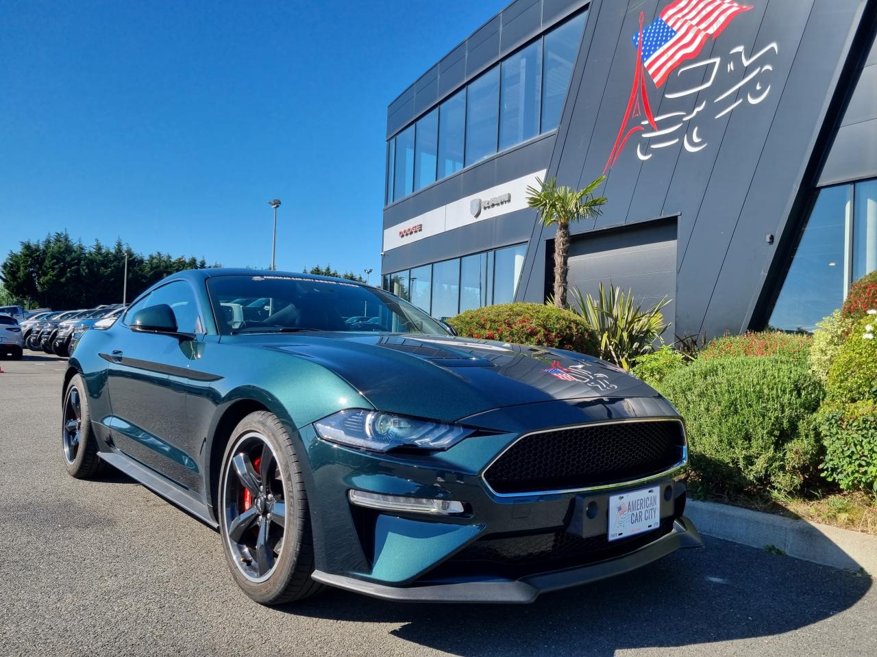 FORD MUSTANG Fastback 5.0 V8 - BULLITT - MAGNERIDE
