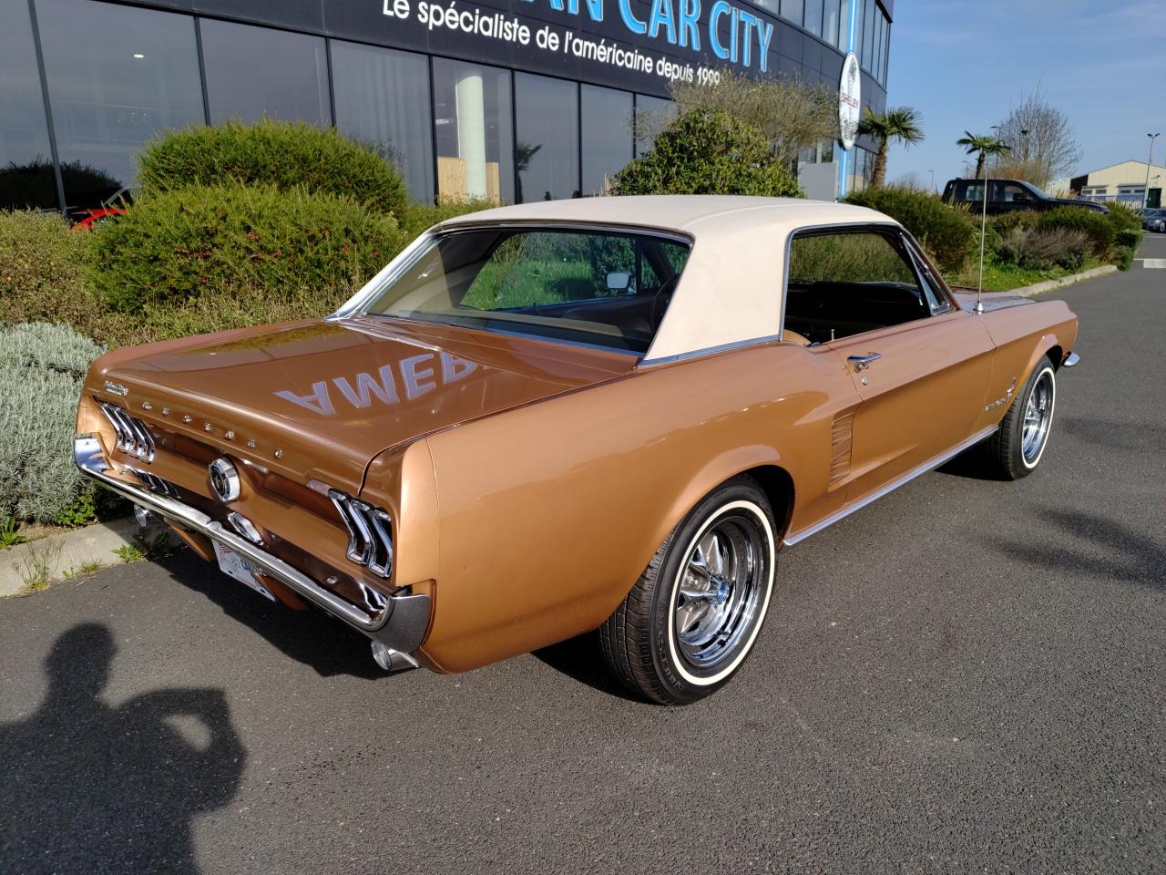 FORD MUSTANG COUPE HARDTOP TIME CAPSULE