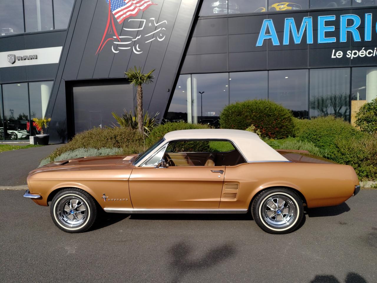 FORD MUSTANG COUPE HARDTOP TIME CAPSULE