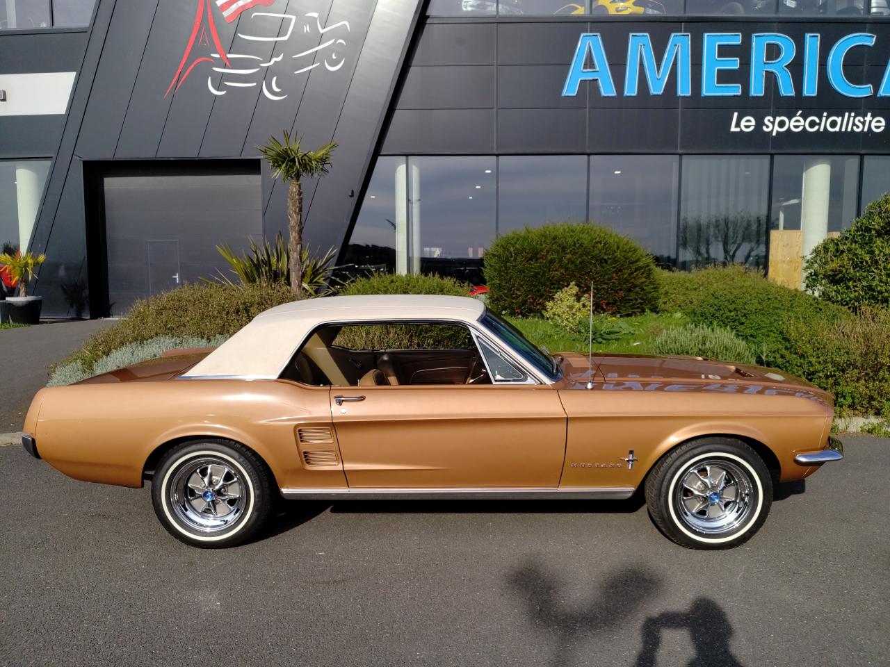 FORD MUSTANG COUPE HARDTOP TIME CAPSULE