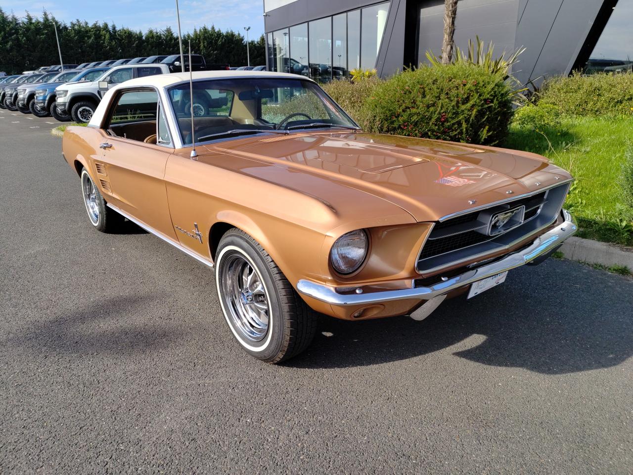 FORD MUSTANG COUPE HARDTOP TIME CAPSULE