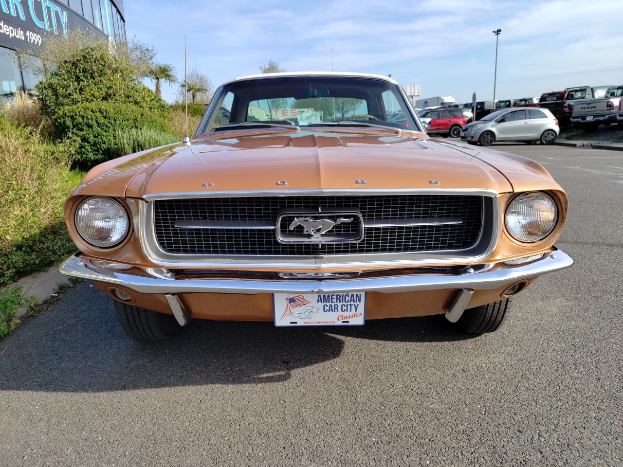 FORD MUSTANG COUPE HARDTOP TIME CAPSULE