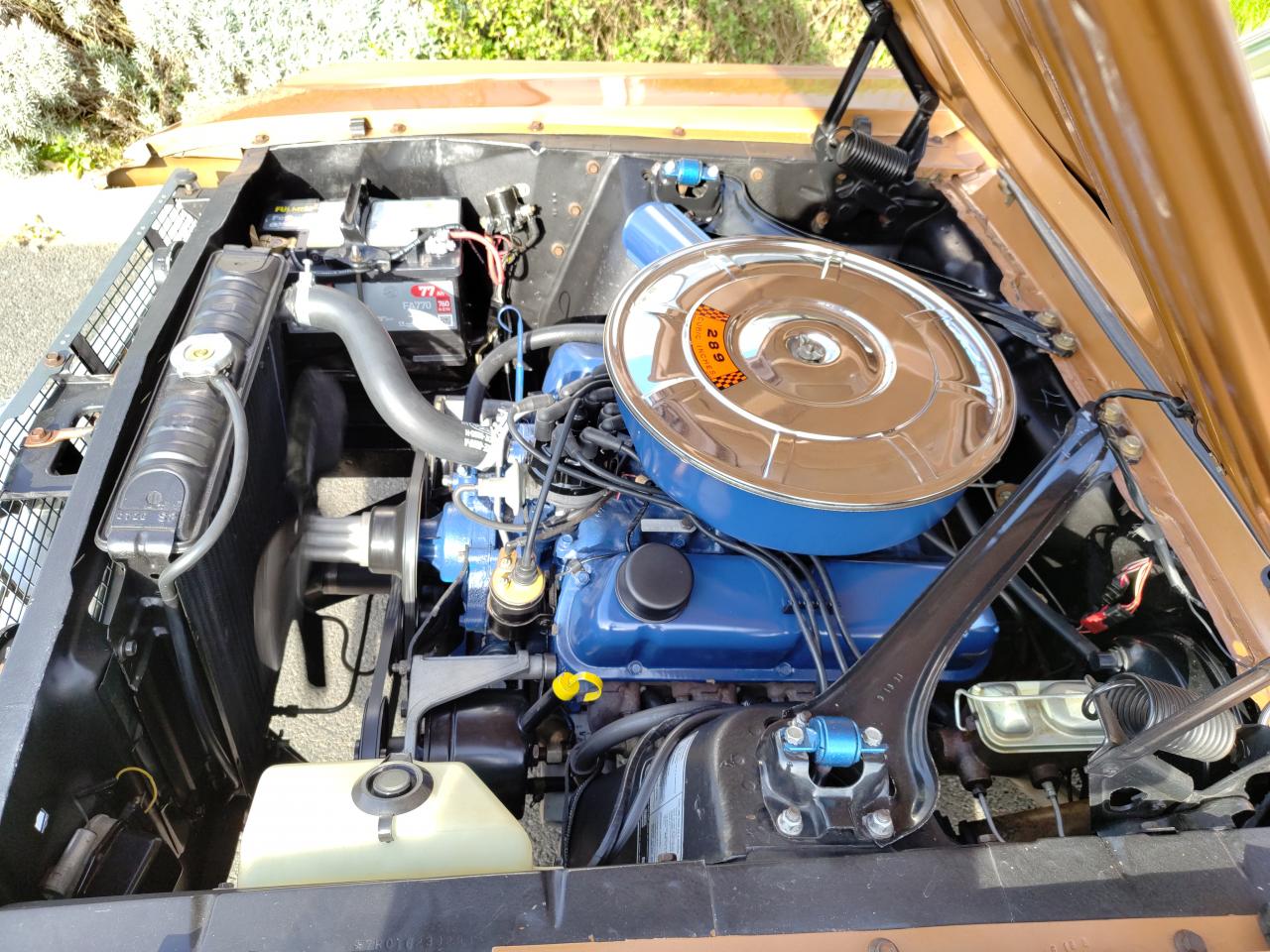 FORD MUSTANG COUPE HARDTOP TIME CAPSULE