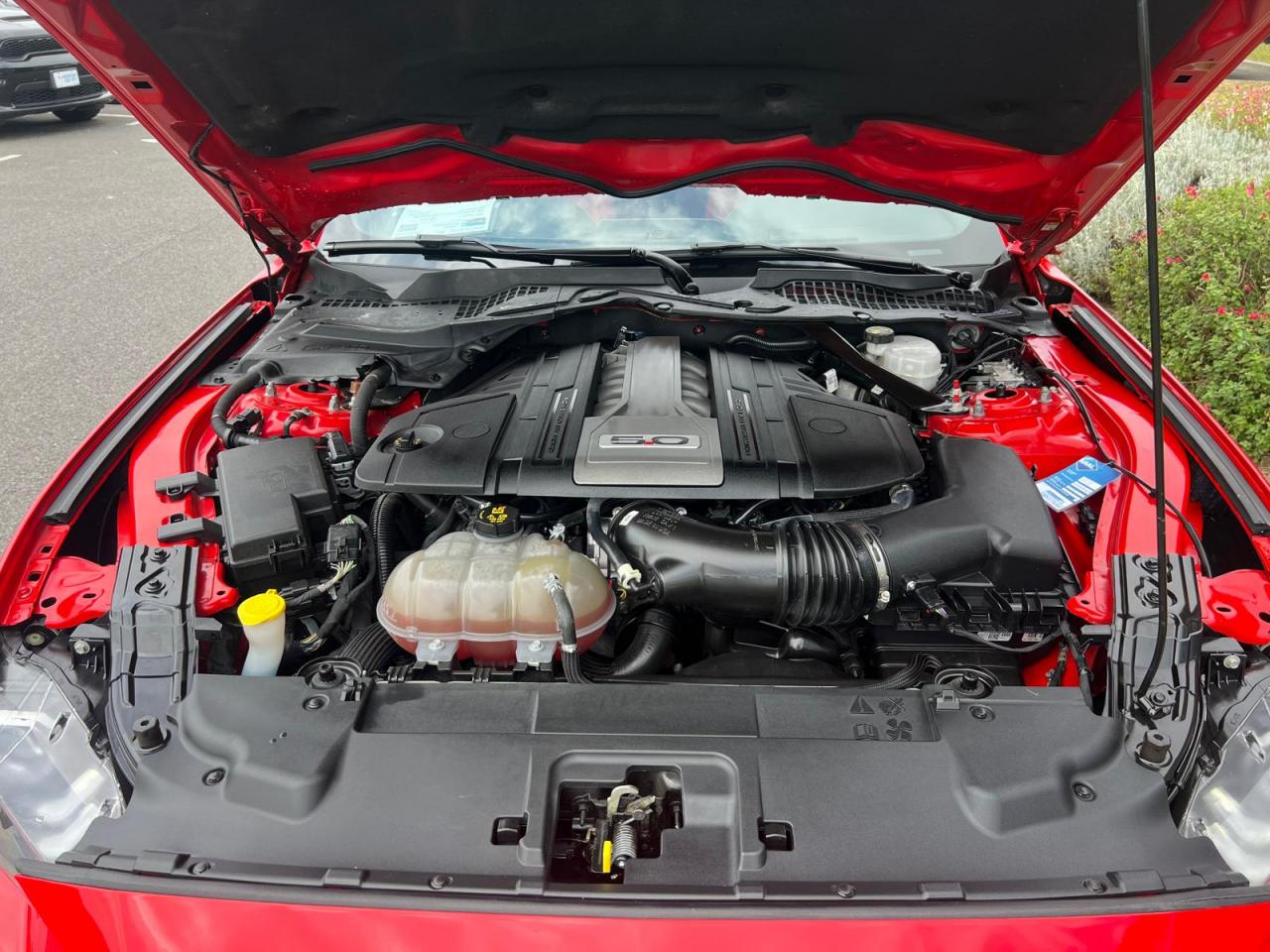 FORD MUSTANG GT CABRIOLET V8 5.0L BVA10