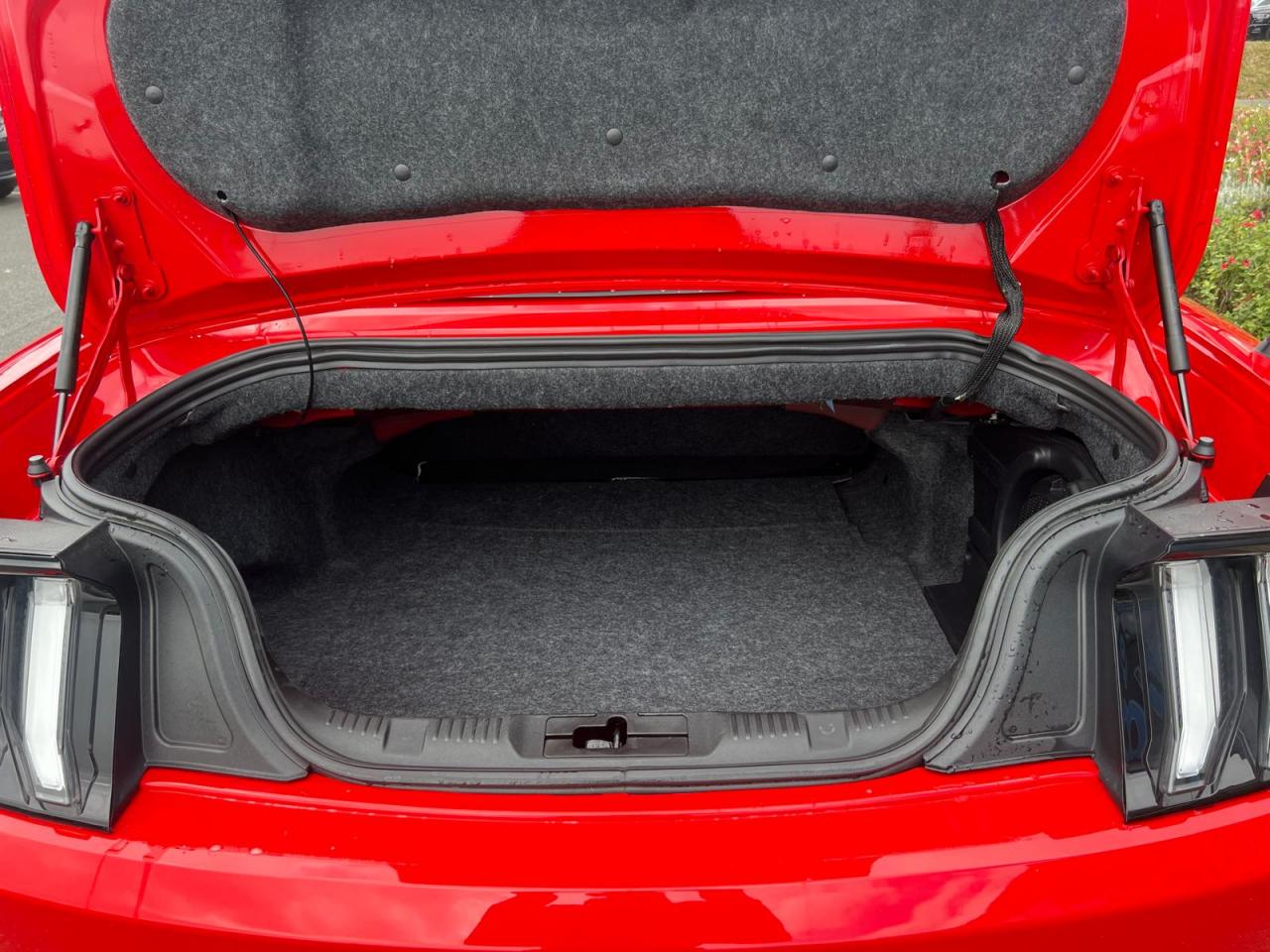 FORD MUSTANG GT CABRIOLET V8 5.0L BVA10