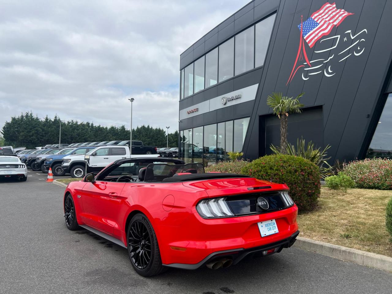 FORD MUSTANG GT CABRIOLET V8 5.0L BVA10