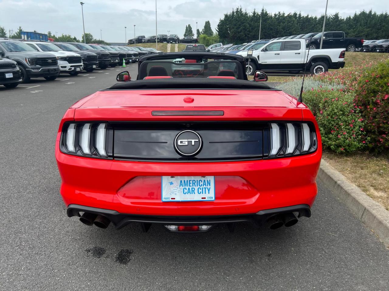 FORD MUSTANG GT CABRIOLET V8 5.0L BVA10