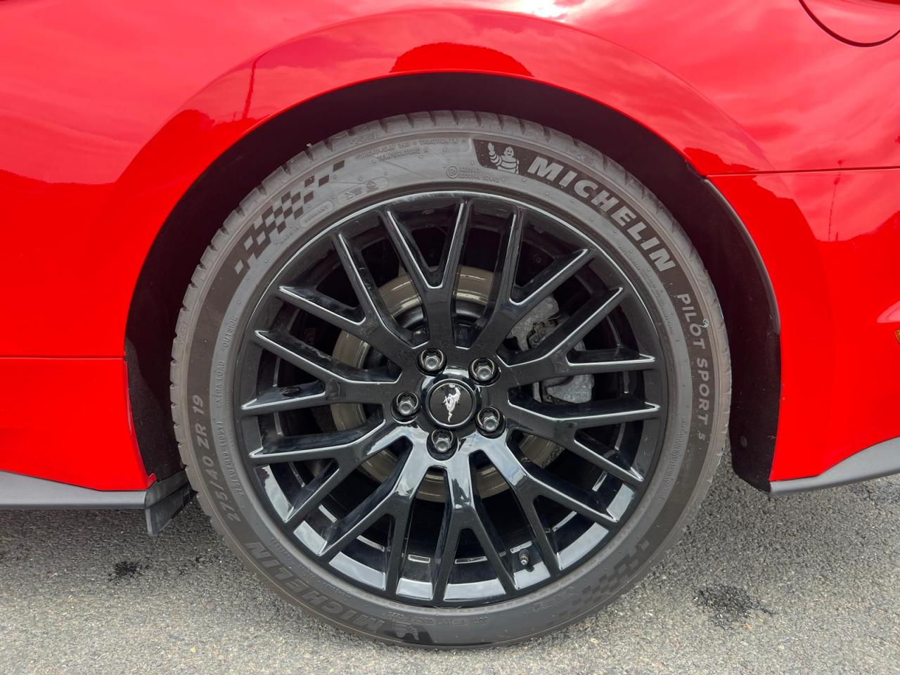 FORD MUSTANG GT CABRIOLET V8 5.0L BVA10