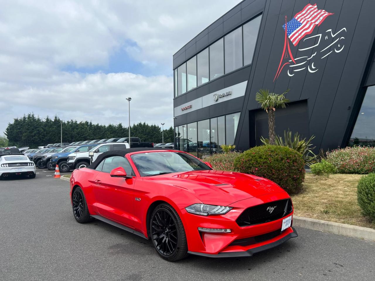 FORD MUSTANG GT CABRIOLET V8 5.0L BVA10