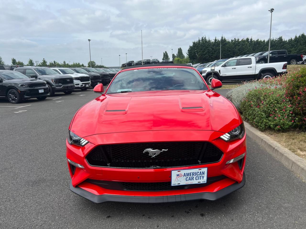 FORD MUSTANG GT CABRIOLET V8 5.0L BVA10