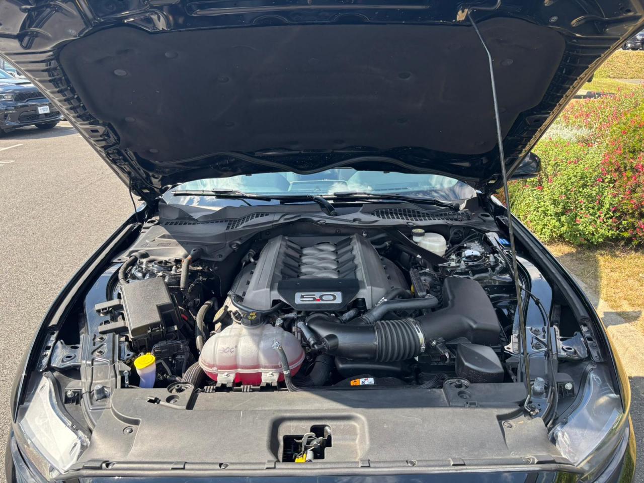 FORD MUSTANG GT FASTBACK V8 5.0L BVM