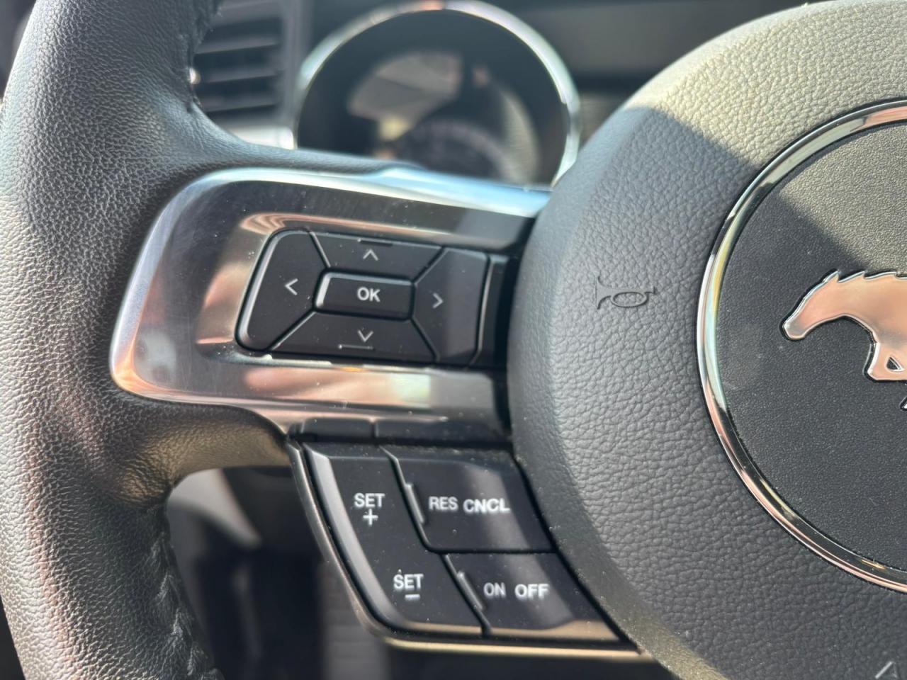 FORD MUSTANG GT FASTBACK V8 5.0L BVM