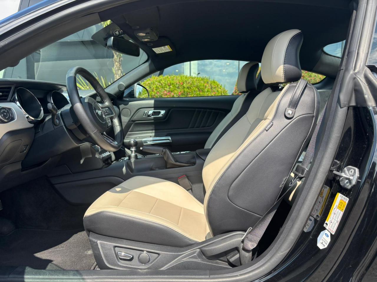 FORD MUSTANG GT FASTBACK V8 5.0L BVM