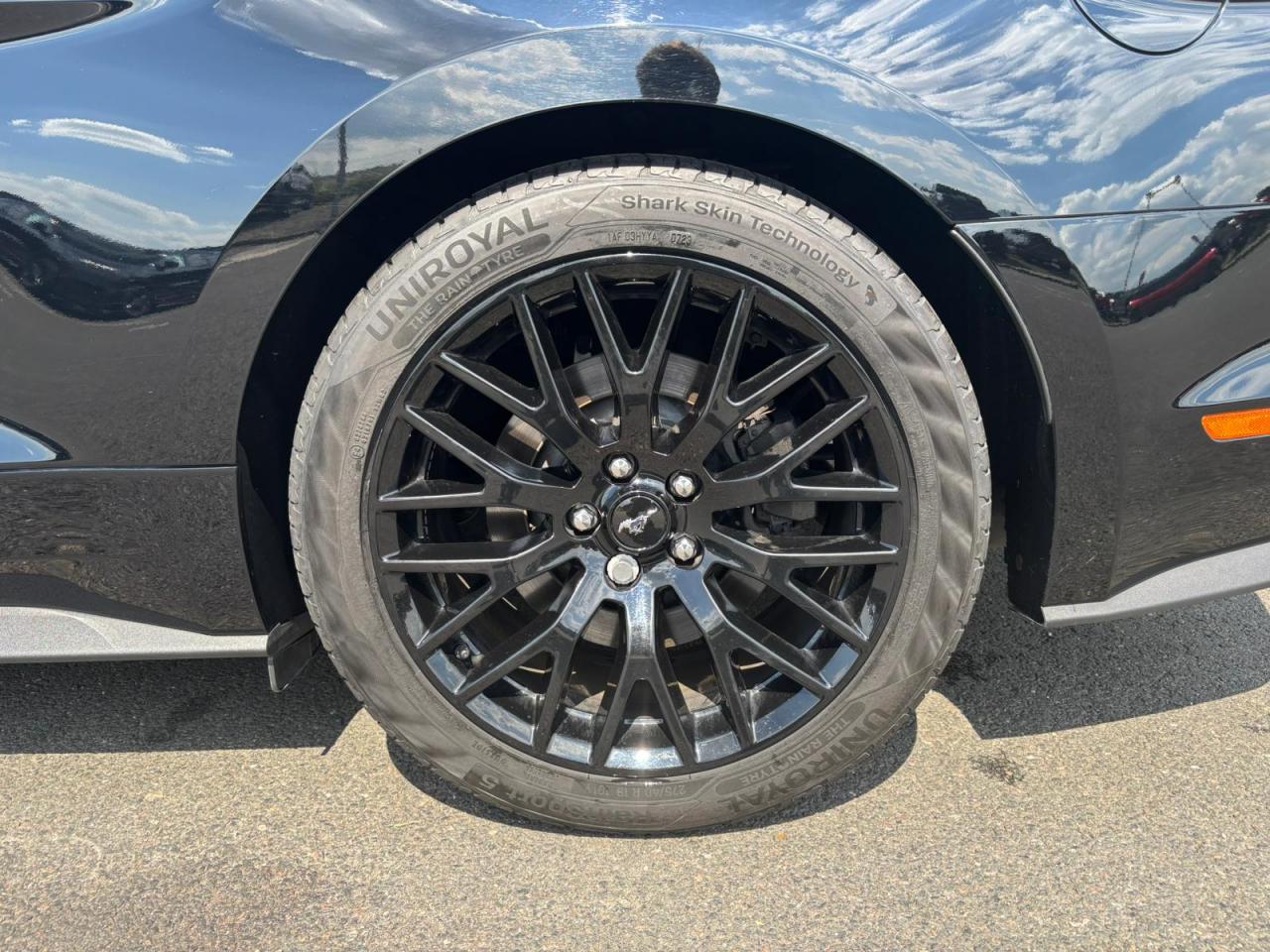 FORD MUSTANG GT FASTBACK V8 5.0L BVM