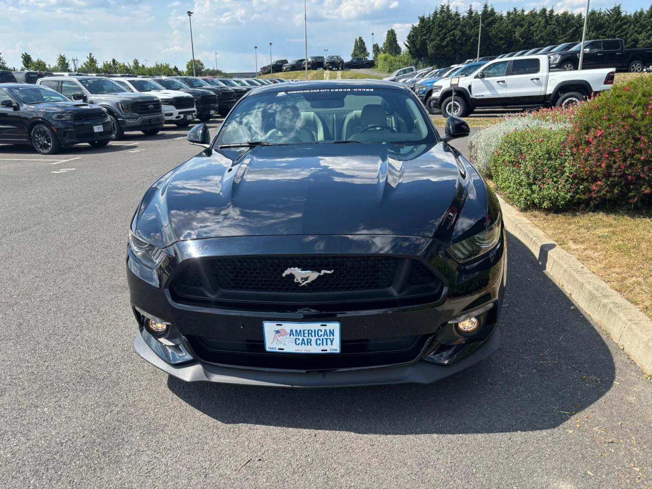 FORD MUSTANG GT FASTBACK V8 5.0L BVM