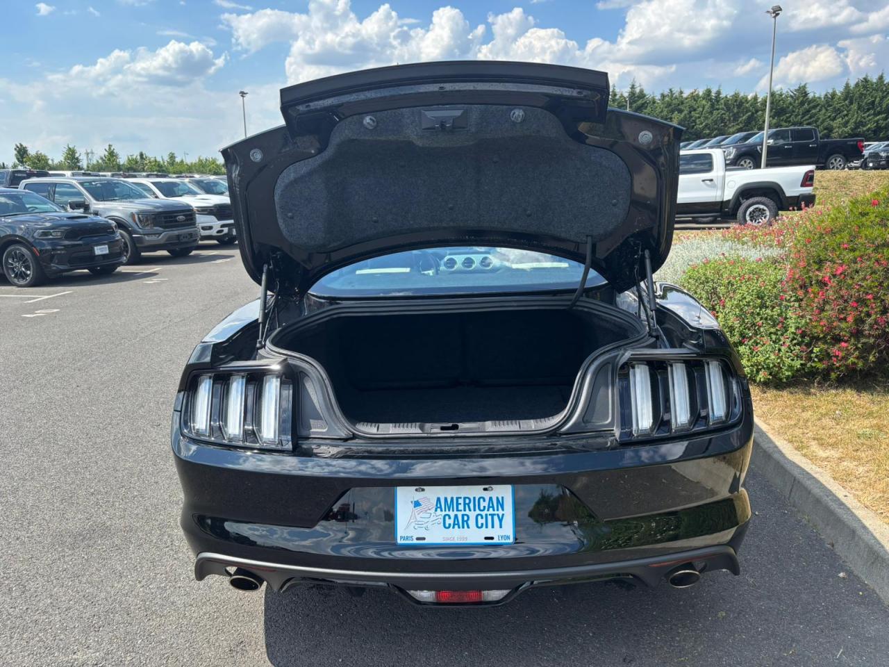 FORD MUSTANG GT FASTBACK V8 5.0L BVM