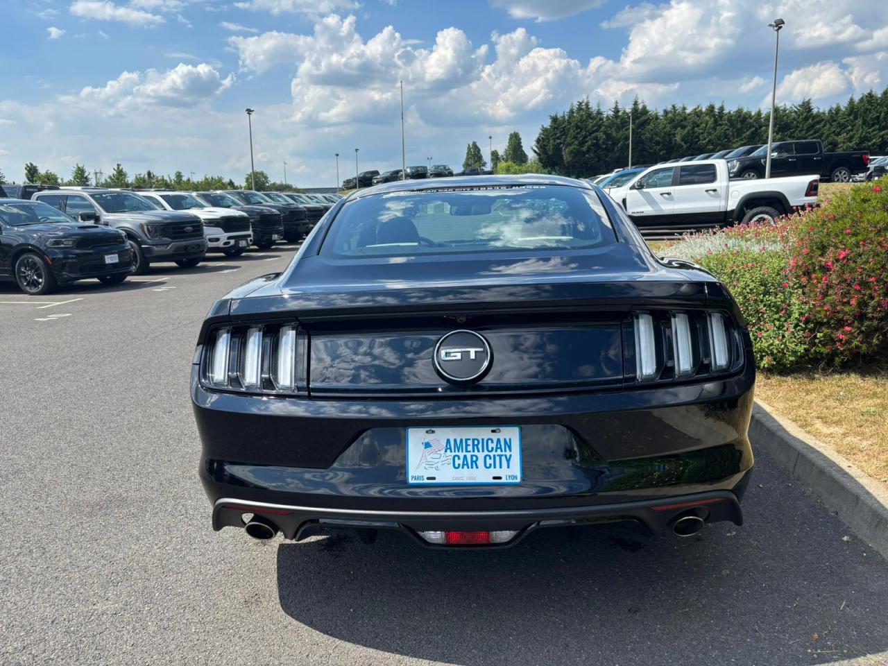 FORD MUSTANG GT FASTBACK V8 5.0L BVM