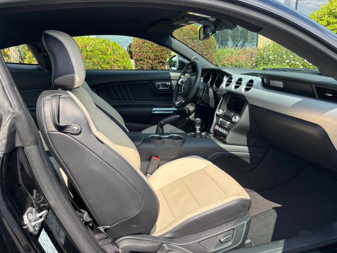 FORD MUSTANG GT FASTBACK V8 5.0L BVM