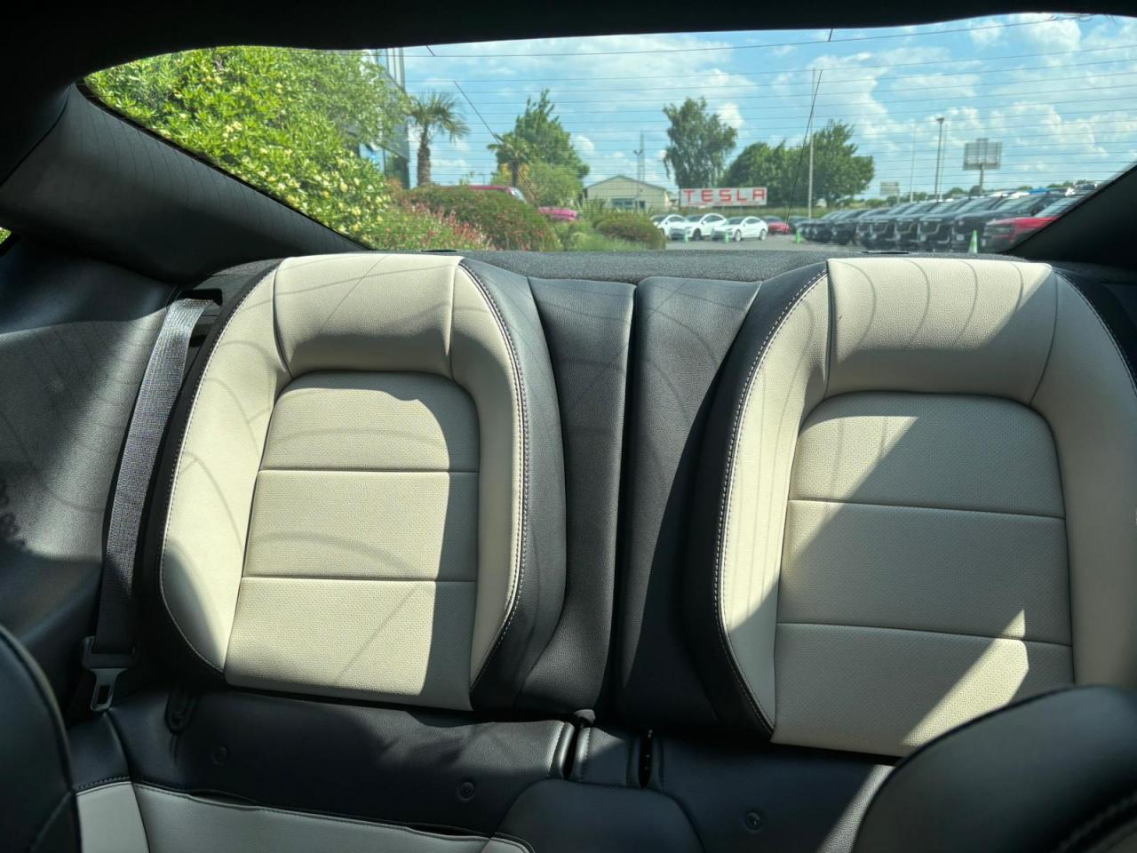 FORD MUSTANG GT FASTBACK V8 5.0L BVM