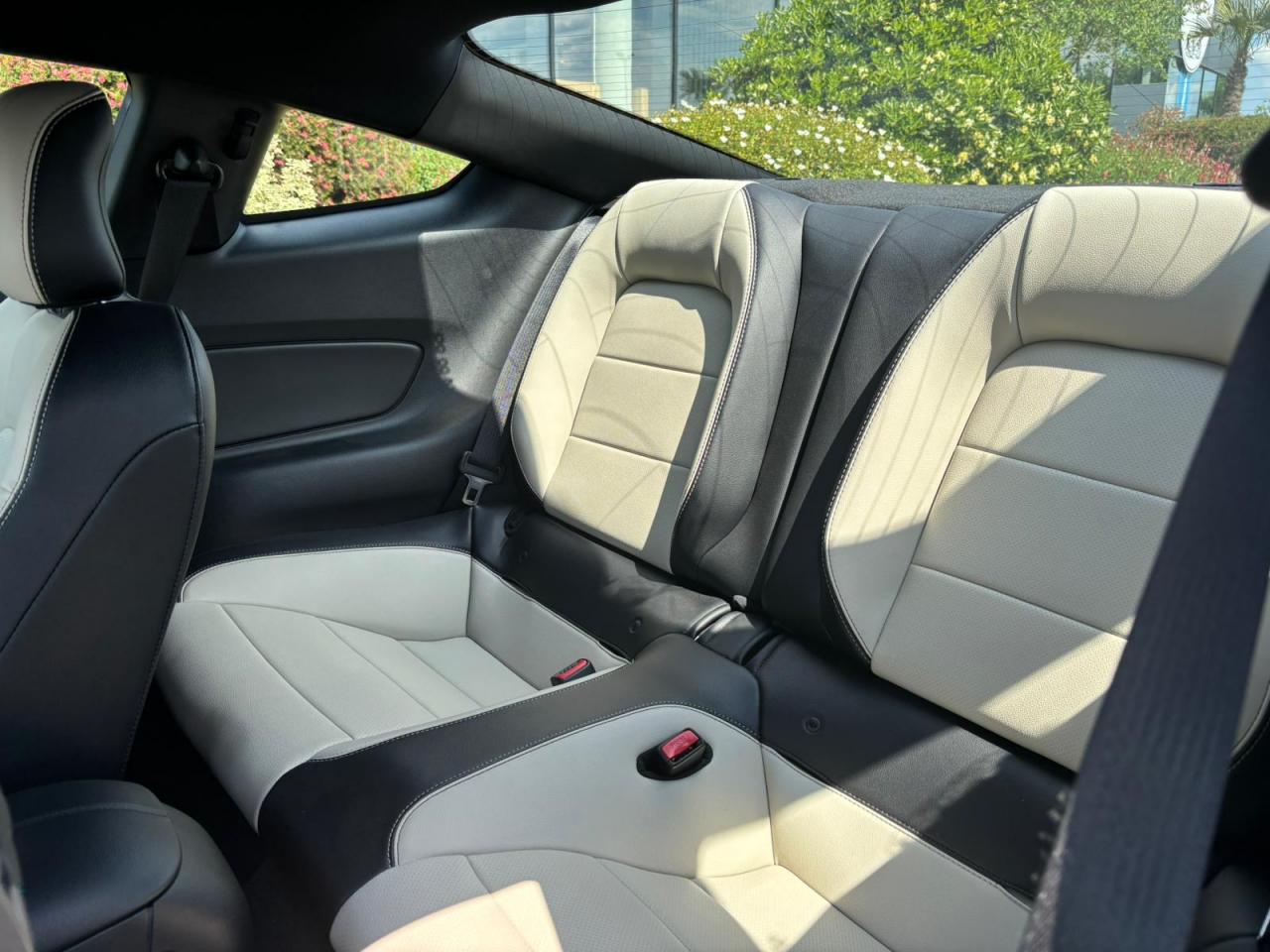 FORD MUSTANG GT FASTBACK V8 5.0L BVM