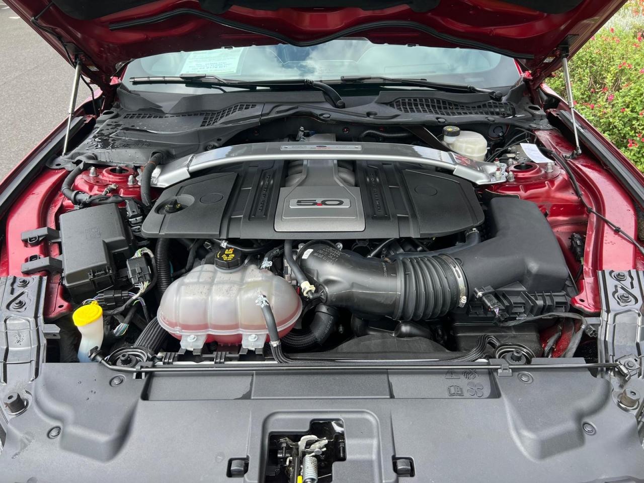 FORD MUSTANG GT CABRIOLET V8 5.0L BVA10