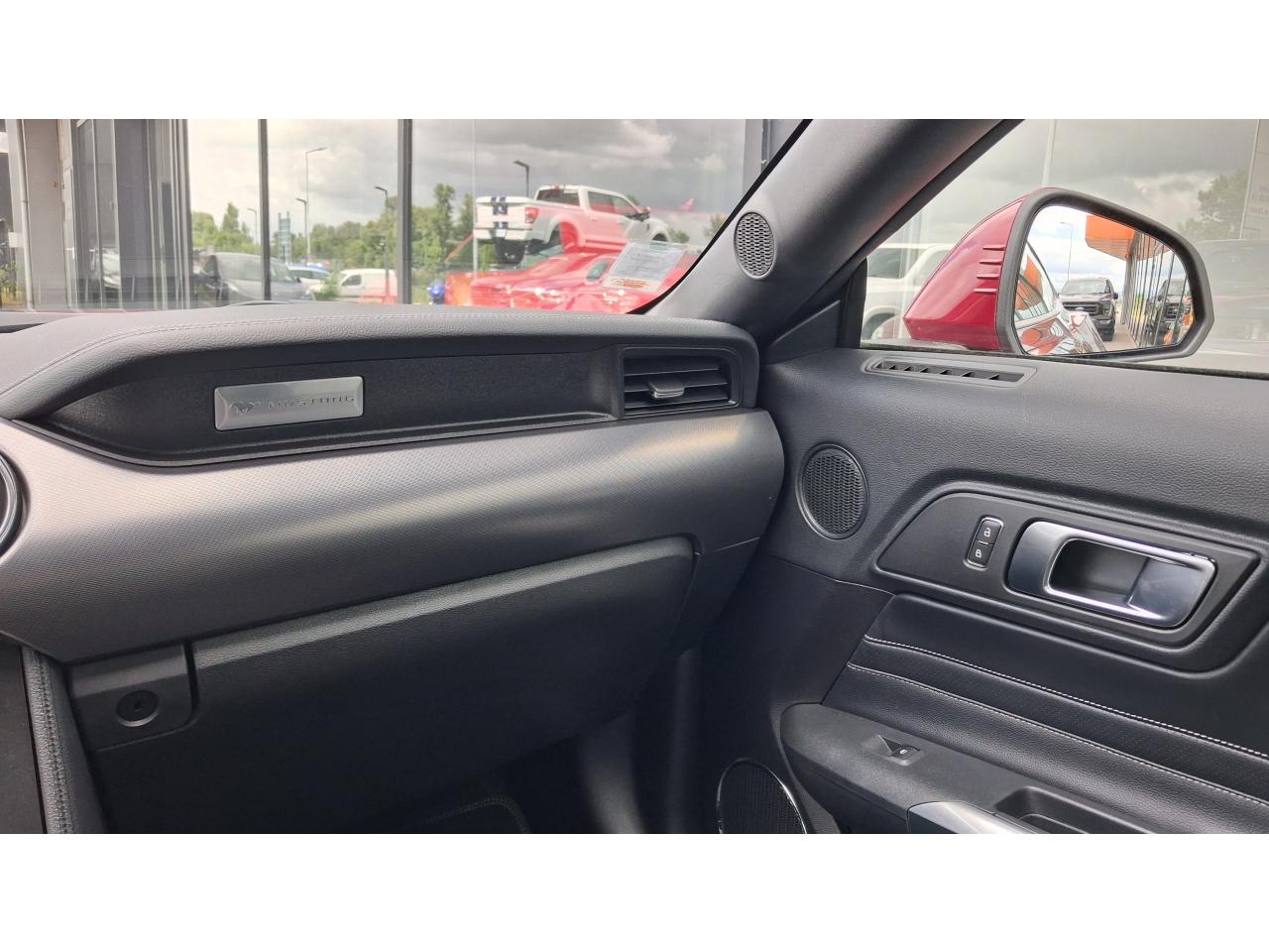 FORD MUSTANG GT Fastback 5.0 V8 - Pas de malus