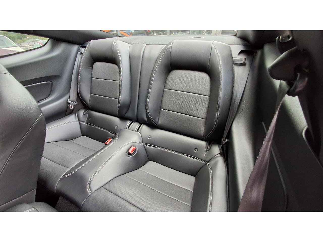 FORD MUSTANG GT Fastback 5.0 V8 - Pas de malus