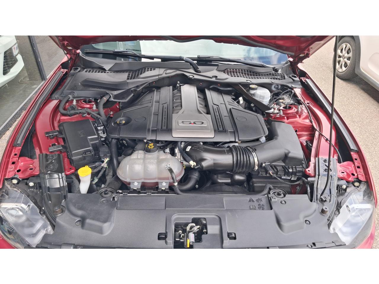 FORD MUSTANG GT Fastback 5.0 V8 - Pas de malus