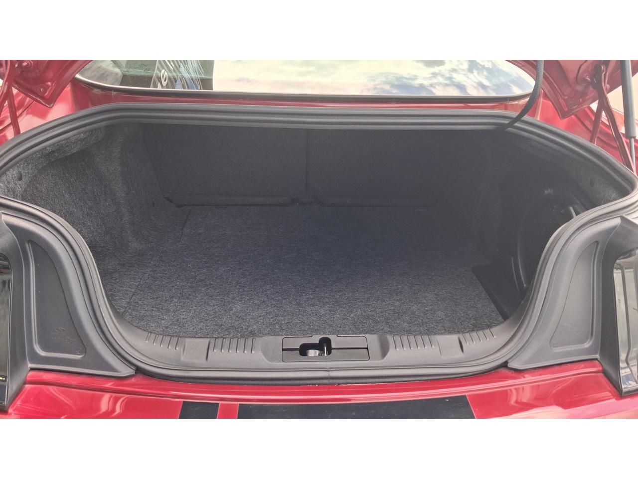 FORD MUSTANG GT Fastback 5.0 V8 - Pas de malus