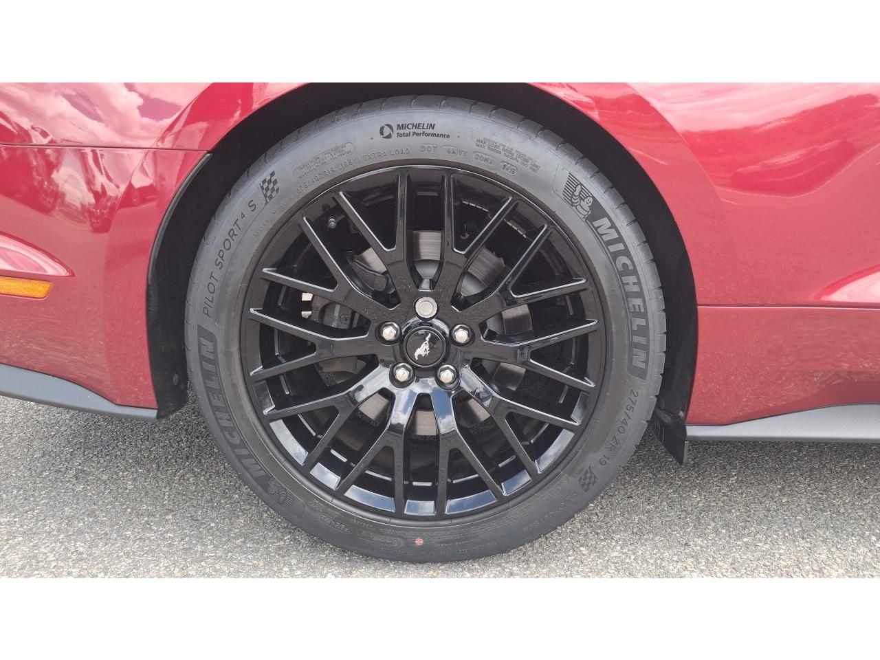 FORD MUSTANG GT Fastback 5.0 V8 - Pas de malus