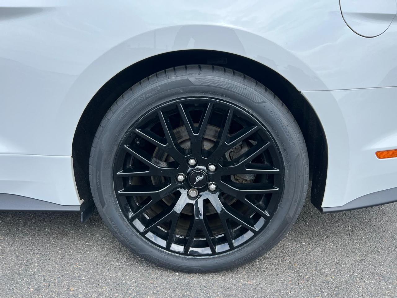 FORD MUSTANG Fastback GT 5.0L V8 450ch MAGNERIDE