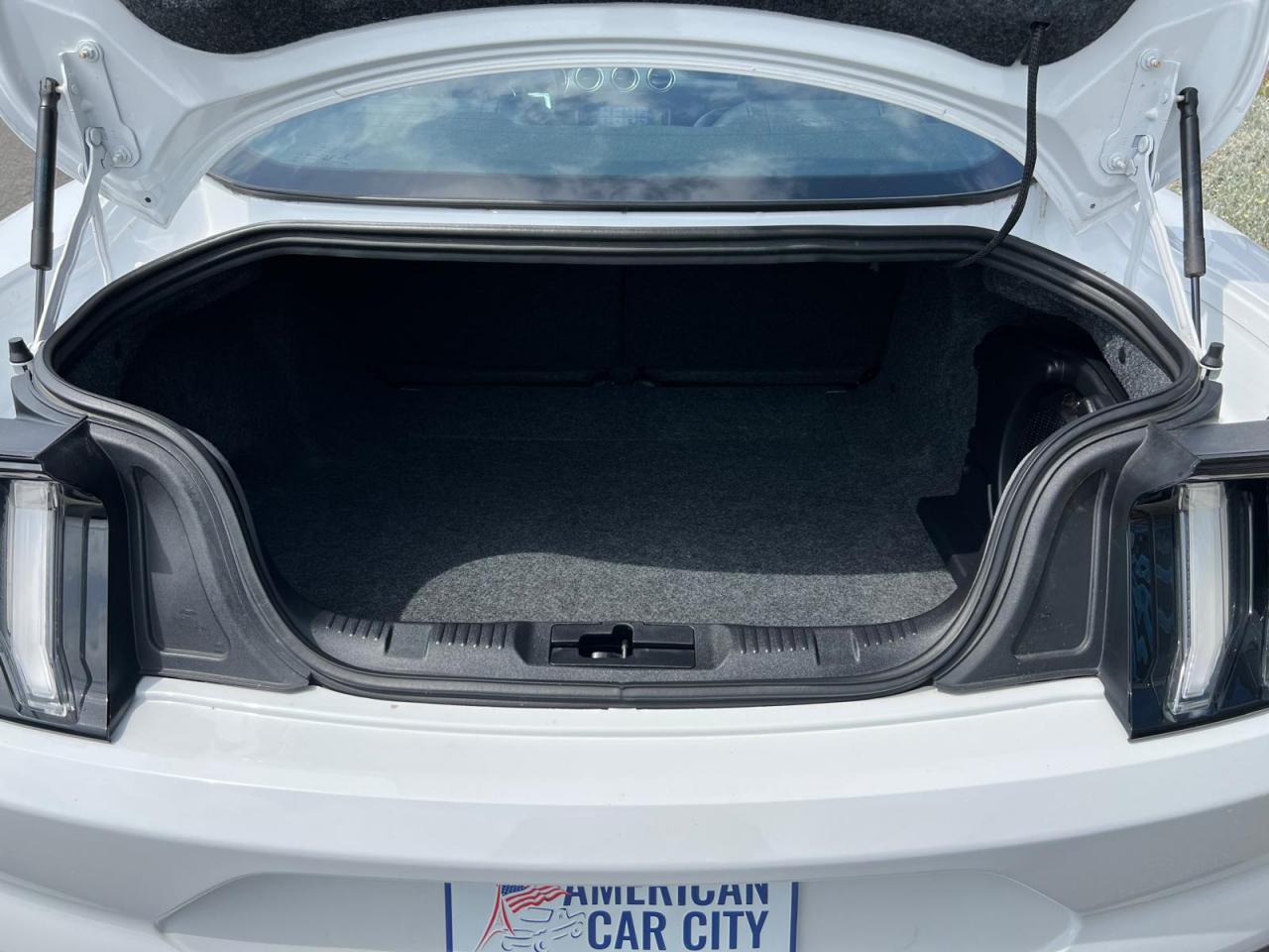 FORD MUSTANG Fastback GT 5.0L V8 450ch MAGNERIDE