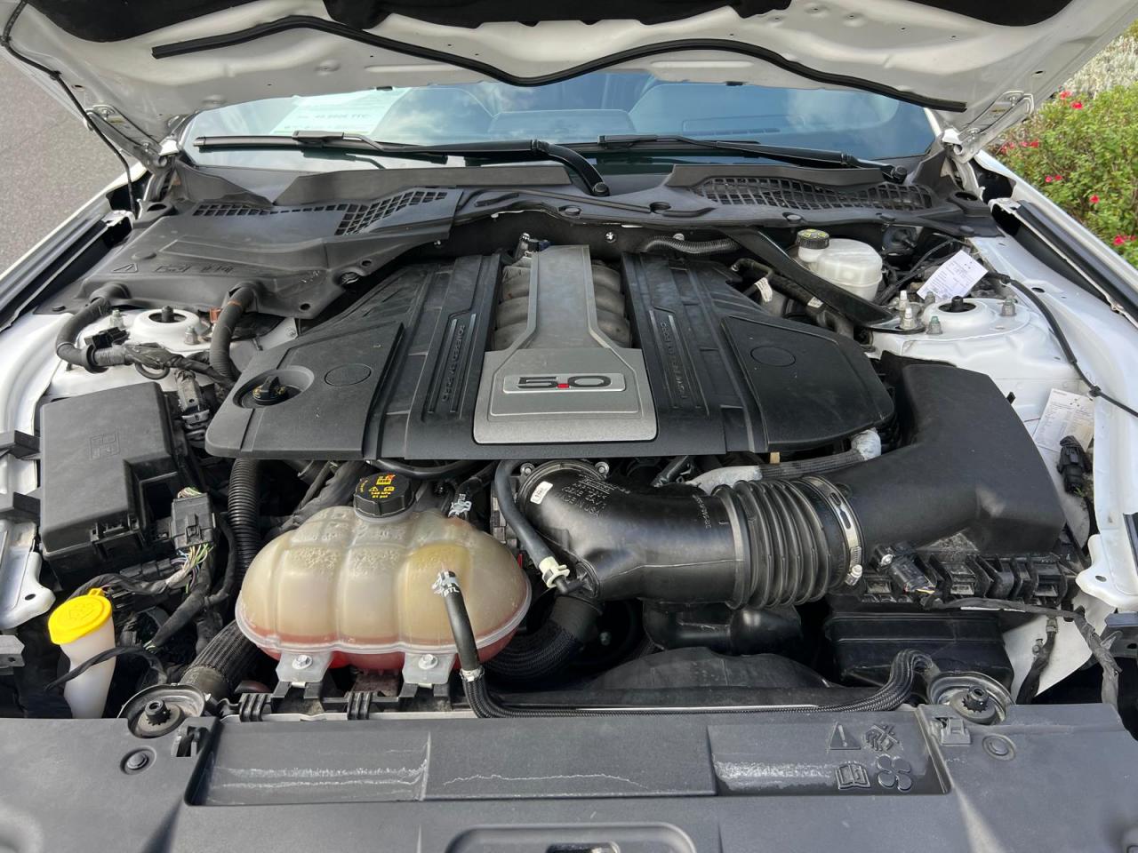 FORD MUSTANG Fastback GT 5.0L V8 450ch MAGNERIDE