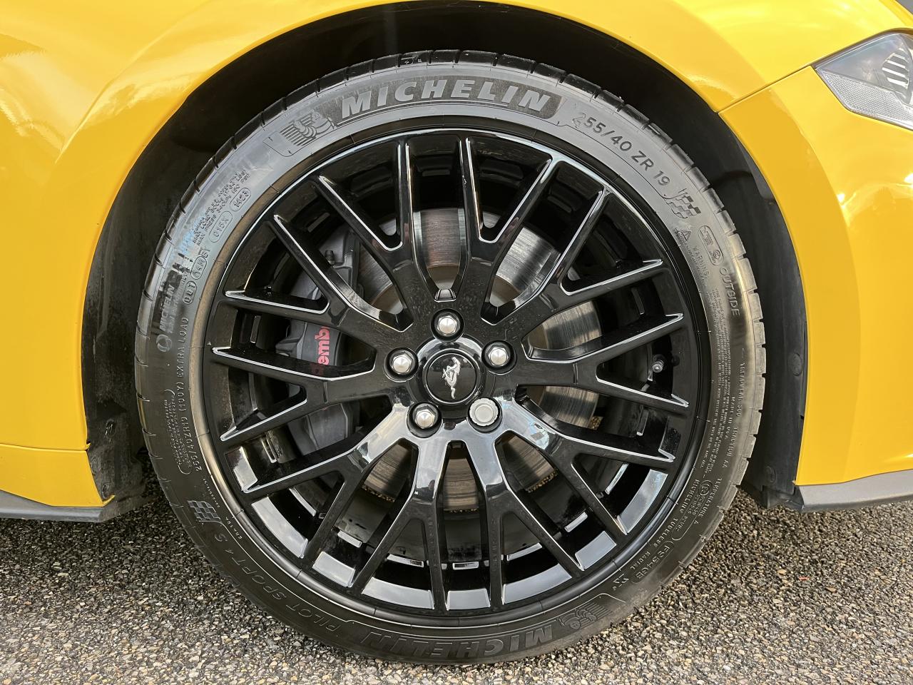 FORD MUSTANG GT FASTBACK 5.0L V8 BVA - Pas de malus