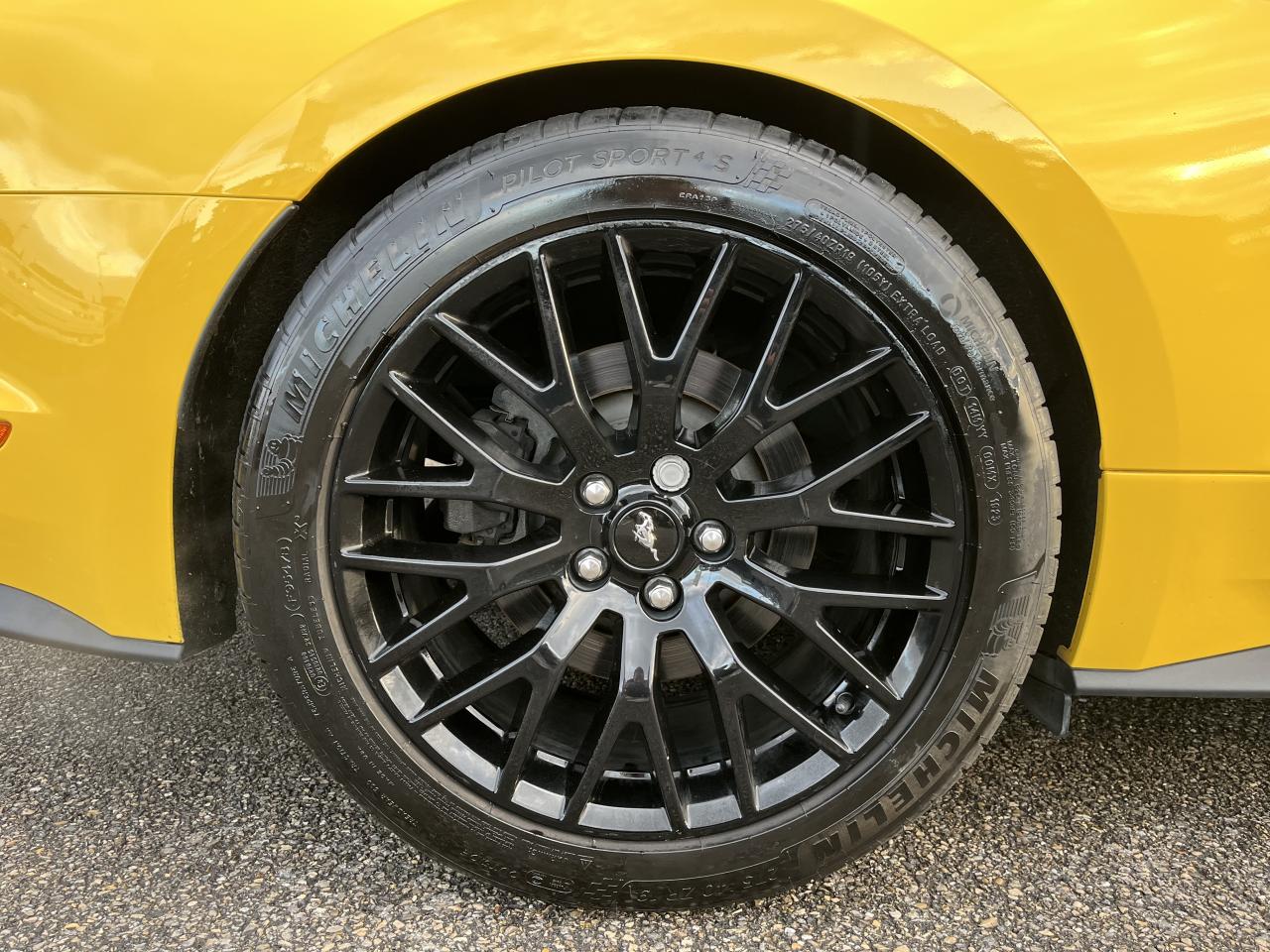 FORD MUSTANG GT FASTBACK 5.0L V8 BVA - Pas de malus