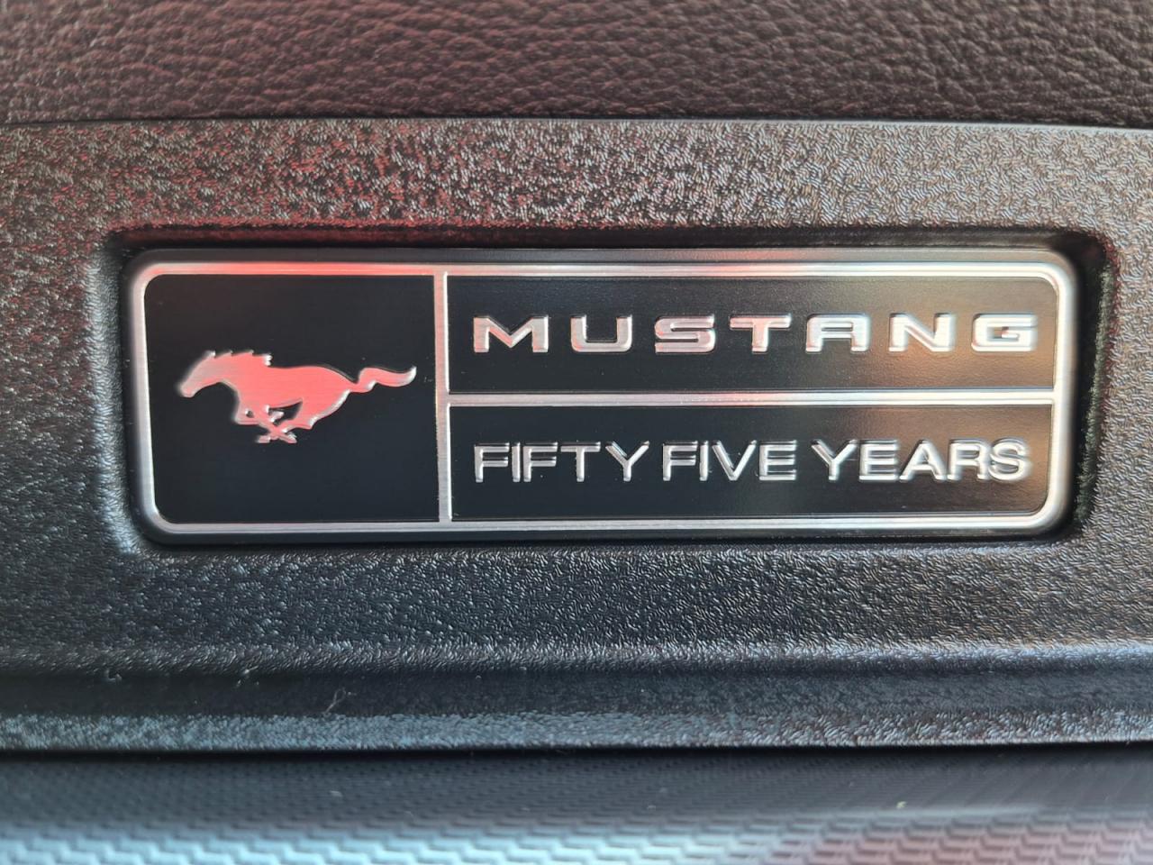 FORD MUSTANG GT FASTBACK 5.0L V8 450ch BVA10